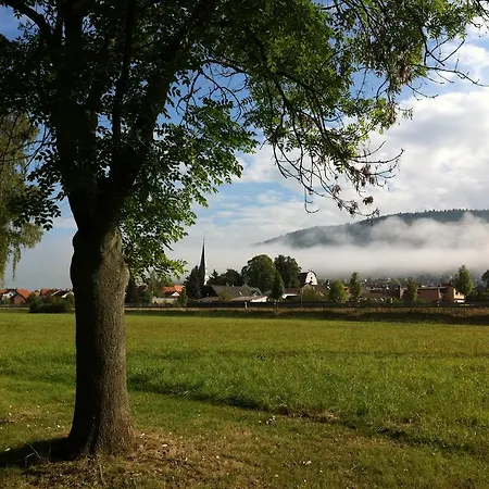 Centgraf Hotel 3*